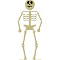 skeleton