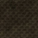 bos_sn_paper01
