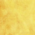 bos_sn_paper06
