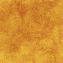 bos_sn_paper07