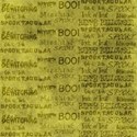 bos_sn_paper09