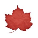 jss_timeforfall_paper leaf 1