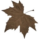 jss_timeforfall_leaf 1