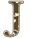 jss_timeforfall_brownalphaj