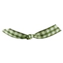 jss_bethankful_gingham tie green