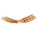 jss_bethankful_gingham tie orange