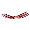 jss_bethankful_gingham tie red
