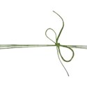 jss_bethankful_twine wrap green