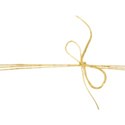 jss_bethankful_twine wrap yellow