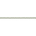 jss_bethankful_zig zag green