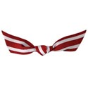 DZ_Destination_ribbon2