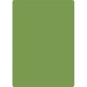 rectangle 5