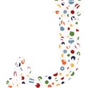 J