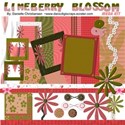Limeberry blossom kit