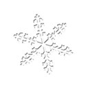 nov snowflake1