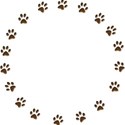 Paw border