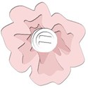 2010 button