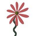 flower pink