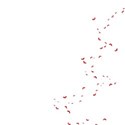 elements (16)