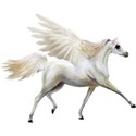 Pegasus