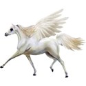 Pegasus 02