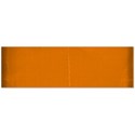 mts_spicy_paper_strip_7