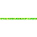 jThompson_floral_ribbon1