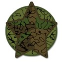 cammo circle star
