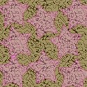Tan Cammo star