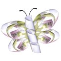 jThompson_dreams_butterfly