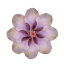jThompson_dreams_flower3