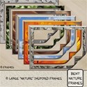 Bent Nature Frames 