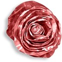 Pamperedprincess_FabulousFourth_flower1 copy
