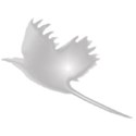 bird_1