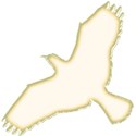 bird_9