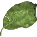 family_mts_leaf_01