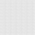 texture_paperW