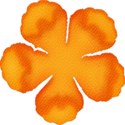 flowerorange