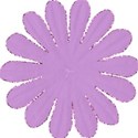 flowersparklepurple