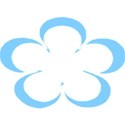 shape15