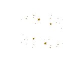 Embellishment