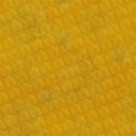 leaf2