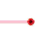 doubleribbonflower copy