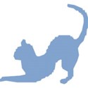 blue cat