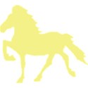 yellow horse