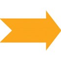 orange arrow