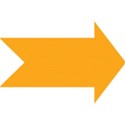 orange arrow