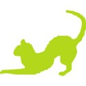 green cat