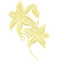 lilly_gold
