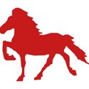 red horse